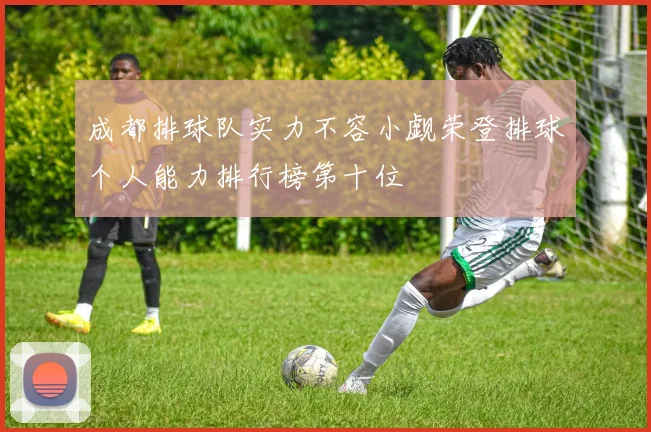 成都排球队实力不容小觑荣登排球个人能力排行榜第十位