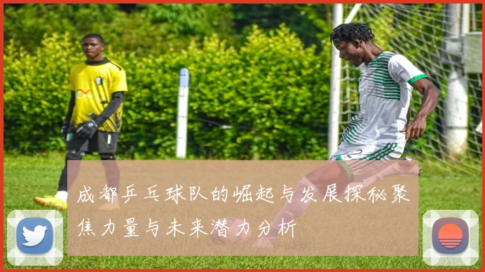 成都乒乓球队的崛起与发展探秘聚焦力量与未来潜力分析