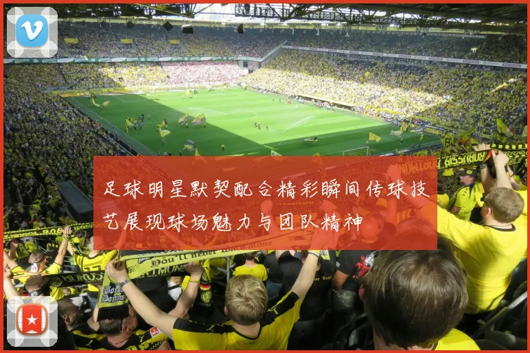 足球明星默契配合精彩瞬间传球技艺展现球场魅力与团队精神