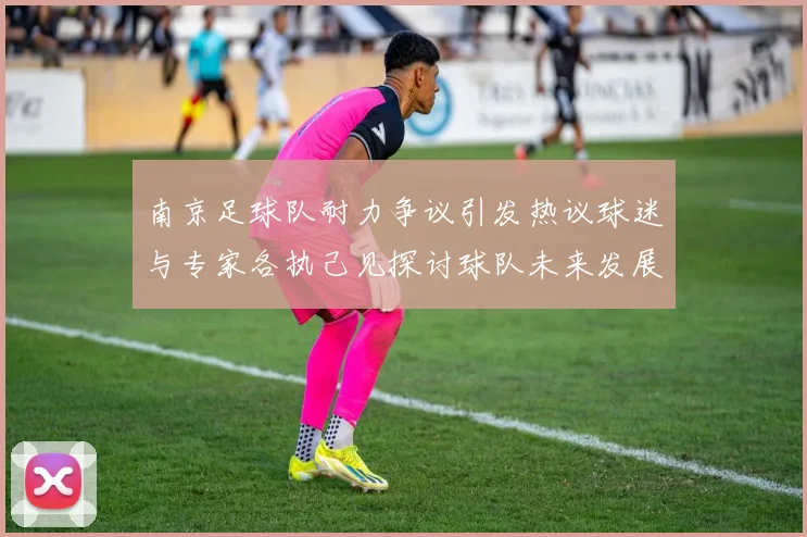 南京足球队耐力争议引发热议球迷与专家各执己见探讨球队未来发展方向