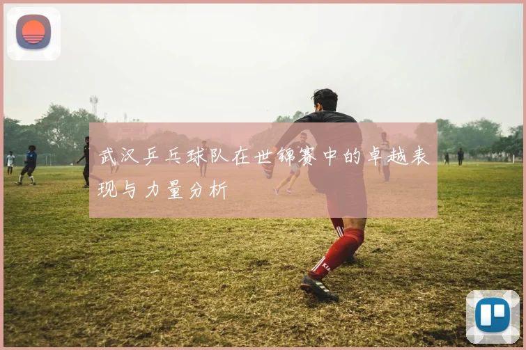 武汉乒乓球队在世锦赛中的卓越表现与力量分析