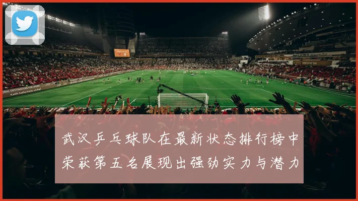 武汉乒乓球队在最新状态排行榜中荣获第五名展现出强劲实力与潜力