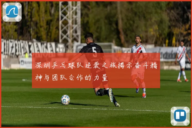 深圳乒乓球队逆袭之旅揭示奋斗精神与团队合作的力量