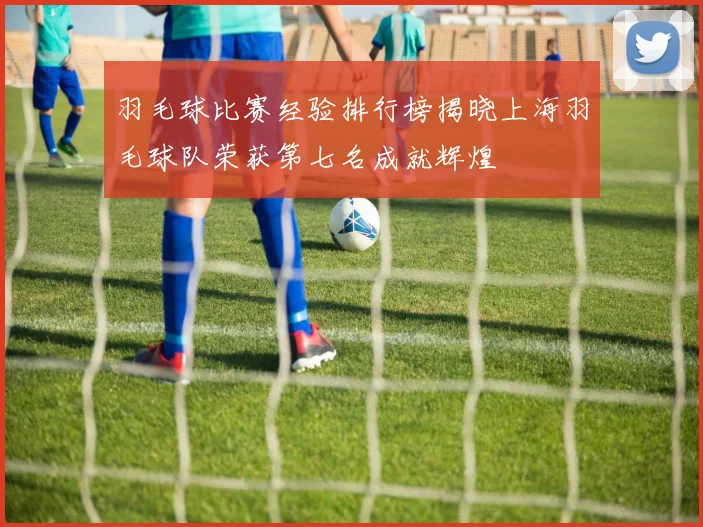 羽毛球比赛经验排行榜揭晓上海羽毛球队荣获第七名成就辉煌