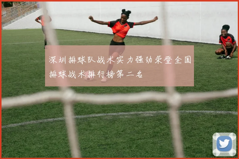 深圳排球队战术实力强劲荣登全国排球战术排行榜第二名