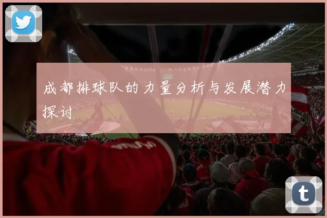 成都排球队的力量分析与发展潜力探讨