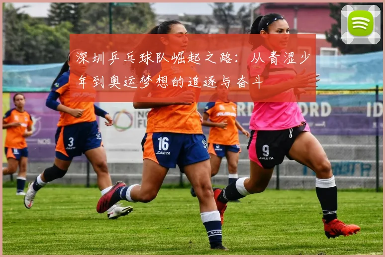 深圳乒乓球队崛起之路：从青涩少年到奥运梦想的追逐与奋斗