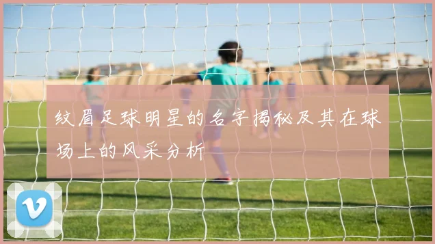 纹眉足球明星的名字揭秘及其在球场上的风采分析
