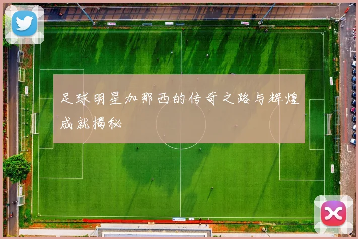 足球明星加那西的传奇之路与辉煌成就揭秘