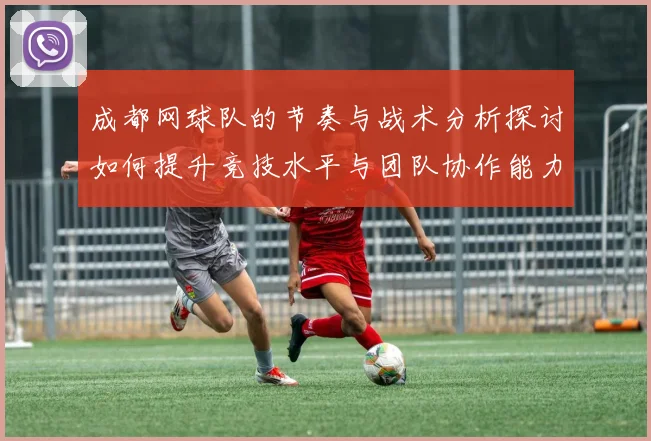 成都网球队的节奏与战术分析探讨如何提升竞技水平与团队协作能力
