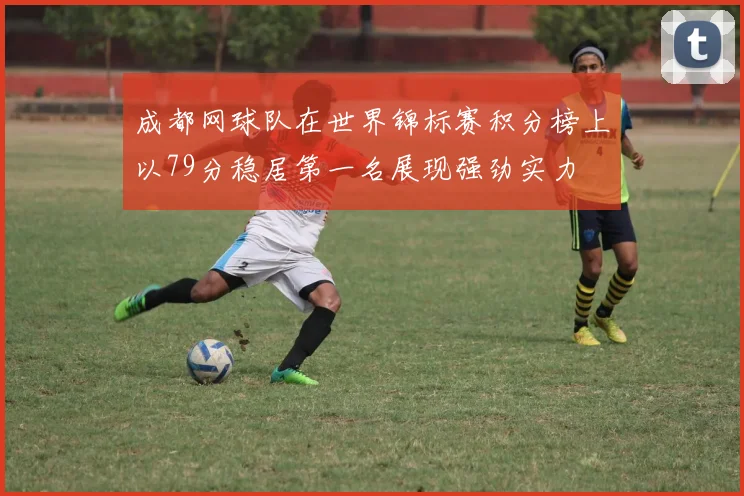 成都网球队在世界锦标赛积分榜上以79分稳居第一名展现强劲实力