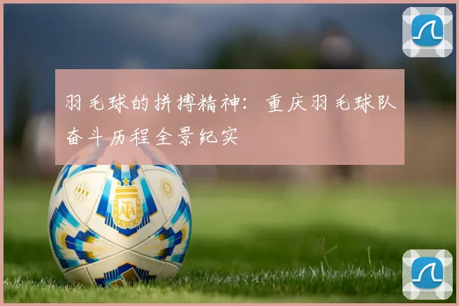 羽毛球的拼搏精神：重庆羽毛球队奋斗历程全景纪实